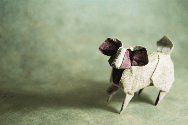 ”Origami Papillon Dog” design - Miyajima Noboru, pliat de Gonzalo Garcia Calvo