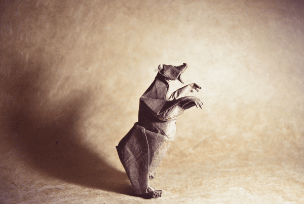 ”Origami Grizzly Bear” design - Quentin Trollip, pliat de Gonzalo Garcia Calvo